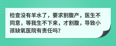 检查没有羊水了，要求割腹产，医生不同意，等我生不下来，才割腹，导致小孩缺氧医院有责任吗？