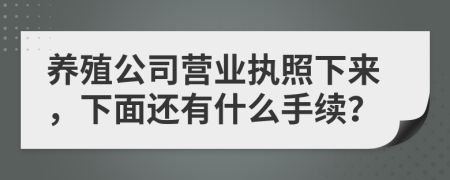 养殖公司营业执照下来，下面还有什么手续？