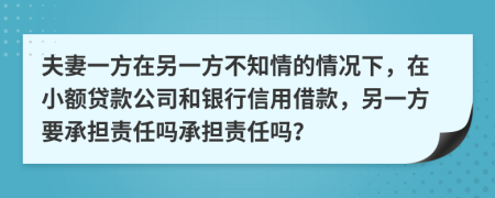 夫妻一方在另一方不知情的情况下，在小额贷款公司和银行信用借款，另一方要承担责任吗承担责任吗？