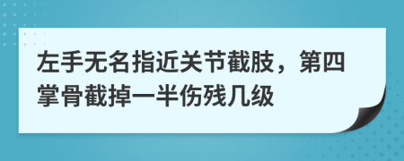 左手无名指近关节截肢，第四掌骨截掉一半伤残几级