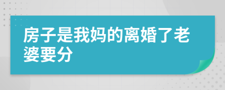 房子是我妈的离婚了老婆要分