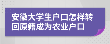 安徽大学生户口怎样转回原籍成为农业户口