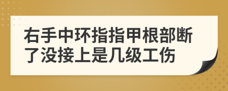 右手中环指指甲根部断了没接上是几级工伤