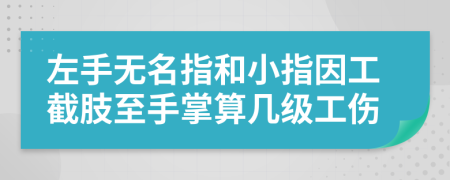 左手无名指和小指因工截肢至手掌算几级工伤