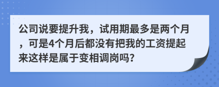 公司说要提升我，试用期最多是两个月，可是4个月后都没有把我的工资提起来这样是属于变相调岗吗？