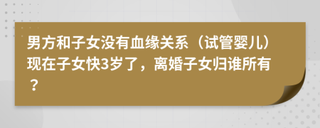 男方和子女没有血缘关系（试管婴儿）现在子女快3岁了，离婚子女归谁所有？