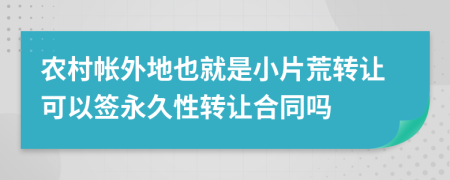 农村帐外地也就是小片荒转让可以签永久性转让合同吗