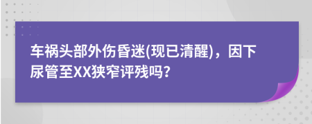 车祸头部外伤昏迷(现已清醒)，因下尿管至XX狭窄评残吗？