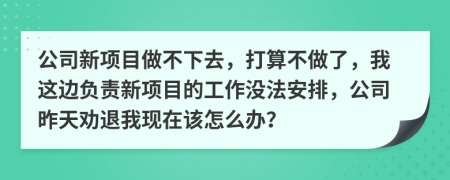 公司新项目做不下去，打算不做了，我这边负责新项目的工作没法安排，公司昨天劝退我现在该怎么办？