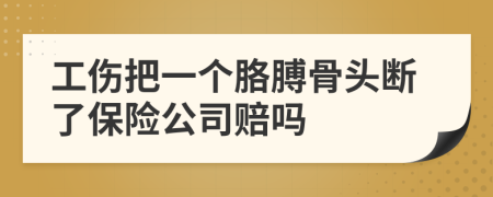工伤把一个胳膊骨头断了保险公司赔吗