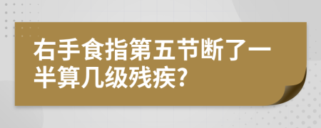右手食指第五节断了一半算几级残疾?