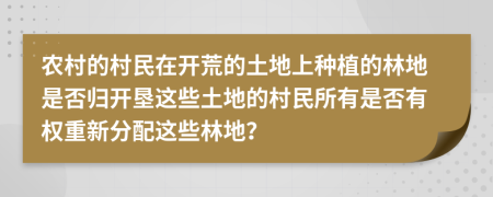 农村的村民在开荒的土地上种植的林地是否归开垦这些土地的村民所有是否有权重新分配这些林地？