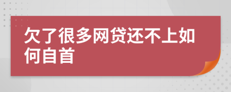 欠了很多网贷还不上如何自首