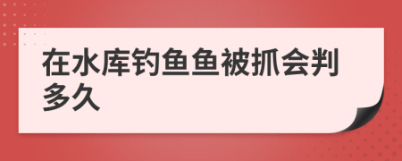 在水库钓鱼鱼被抓会判多久