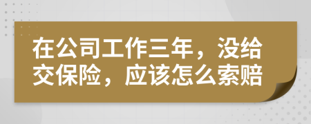 在公司工作三年，没给交保险，应该怎么索赔