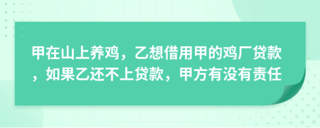 甲在山上养鸡，乙想借用甲的鸡厂贷款，如果乙还不上贷款，甲方有没有责任