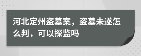 河北定州盗墓案，盗墓未遂怎么判，可以探监吗