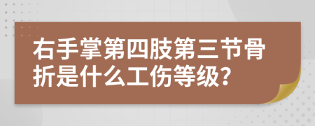 右手掌第四肢第三节骨折是什么工伤等级？