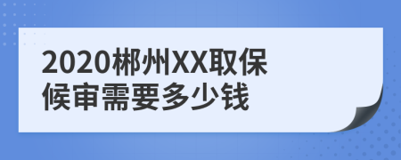 2020郴州XX取保候审需要多少钱