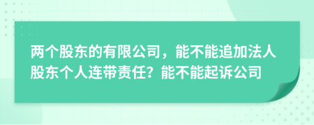 两个股东的有限公司，能不能追加法人股东个人连带责任？能不能起诉公司