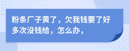 粉条厂子黄了，欠我钱要了好多次没钱给，怎么办，