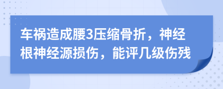 车祸造成腰3压缩骨折，神经根神经源损伤，能评几级伤残