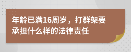 年龄已满16周岁，打群架要承担什么样的法律责任