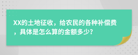 XX的土地征收，给农民的各种补偿费，具体是怎么算的金额多少？