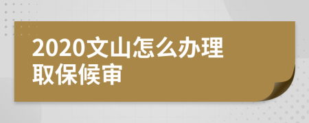 2020文山怎么办理取保候审