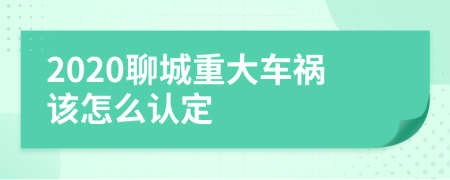 2020聊城重大车祸该怎么认定