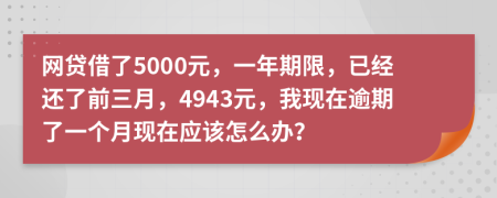 网贷借了5000元，一年期限，已经还了前三月，4943元，我现在逾期了一个月现在应该怎么办？