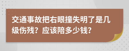 交通事故把右眼撞失明了是几级伤残？应该陪多少钱？