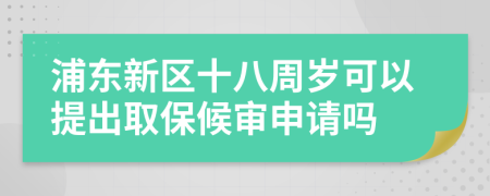 浦东新区十八周岁可以提出取保候审申请吗