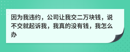 因为我违约，公司让我交二万块钱，说不交就起诉我，我真的没有钱，我怎么办