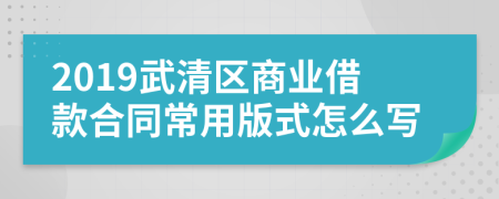 2019武清区商业借款合同常用版式怎么写