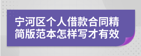 宁河区个人借款合同精简版范本怎样写才有效