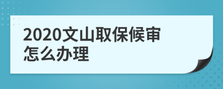 2020文山取保候审怎么办理