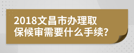 2018文昌市办理取保候审需要什么手续？