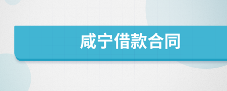 咸宁借款合同