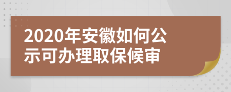 2020年安徽如何公示可办理取保候审