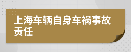 上海车辆自身车祸事故责任