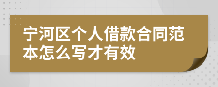 宁河区个人借款合同范本怎么写才有效