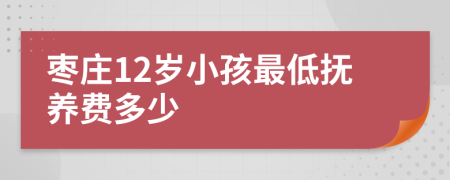 枣庄12岁小孩最低抚养费多少