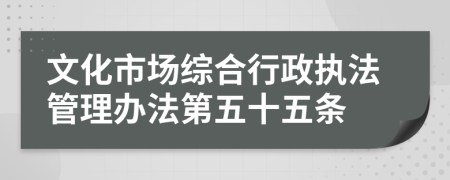 文化市场综合行政执法管理办法第五十五条