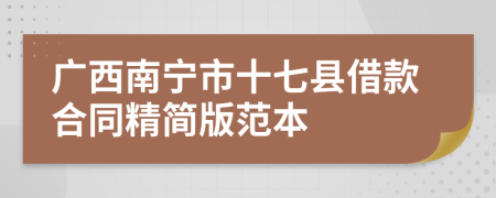 广西南宁市十七县借款合同精简版范本