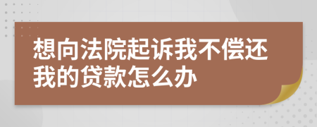 想向法院起诉我不偿还我的贷款怎么办