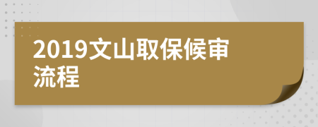 2019文山取保候审流程