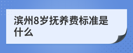 滨州8岁抚养费标准是什么