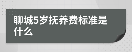 聊城5岁抚养费标准是什么