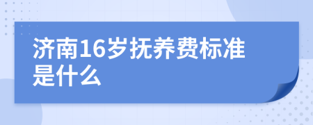 济南16岁抚养费标准是什么